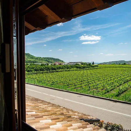 Casa Oliver Апартаменты